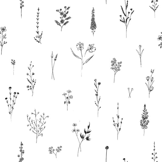 Botanical Sketch Wallpaper  -3005897