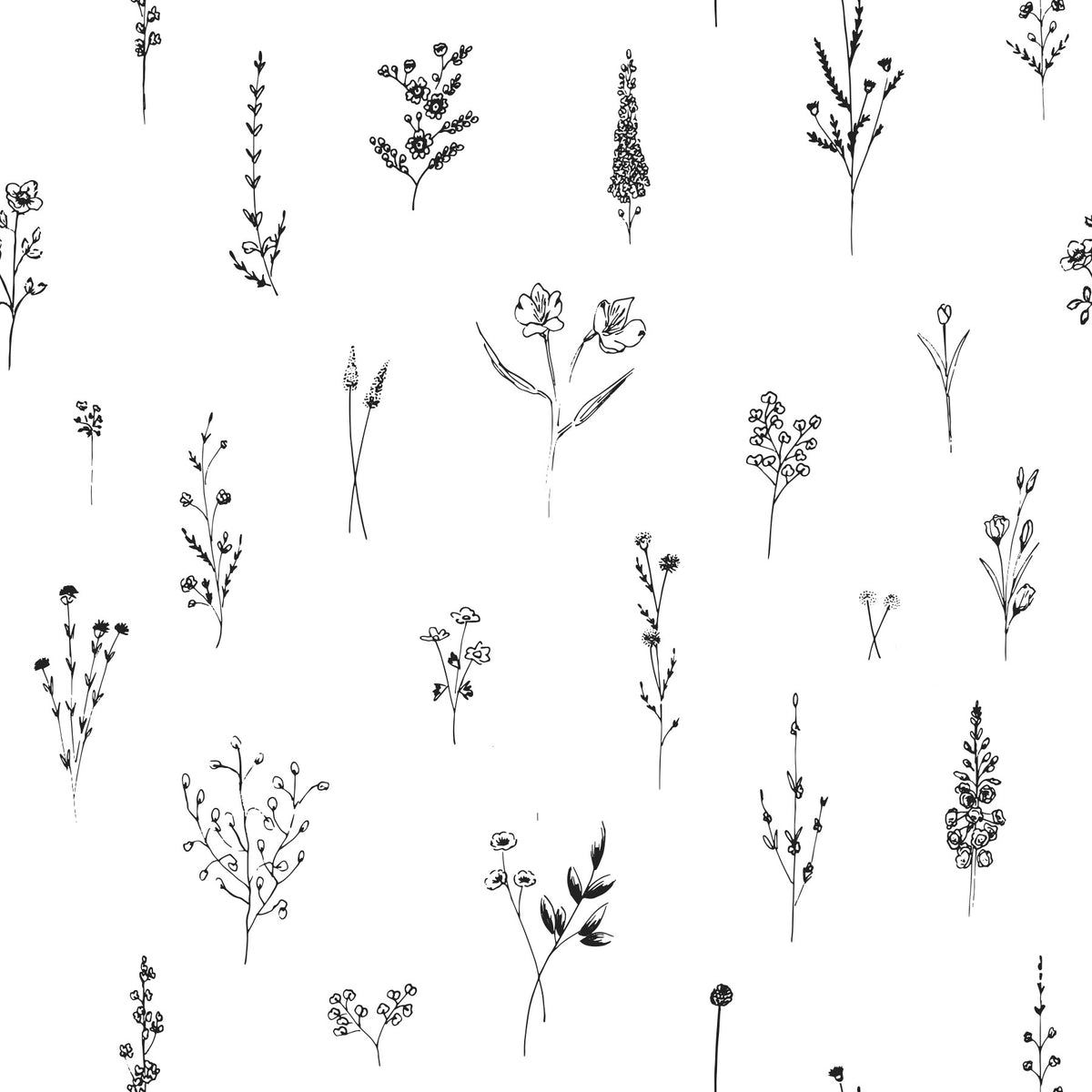 Botanical Sketch Wallpaper  -3005897 in your room