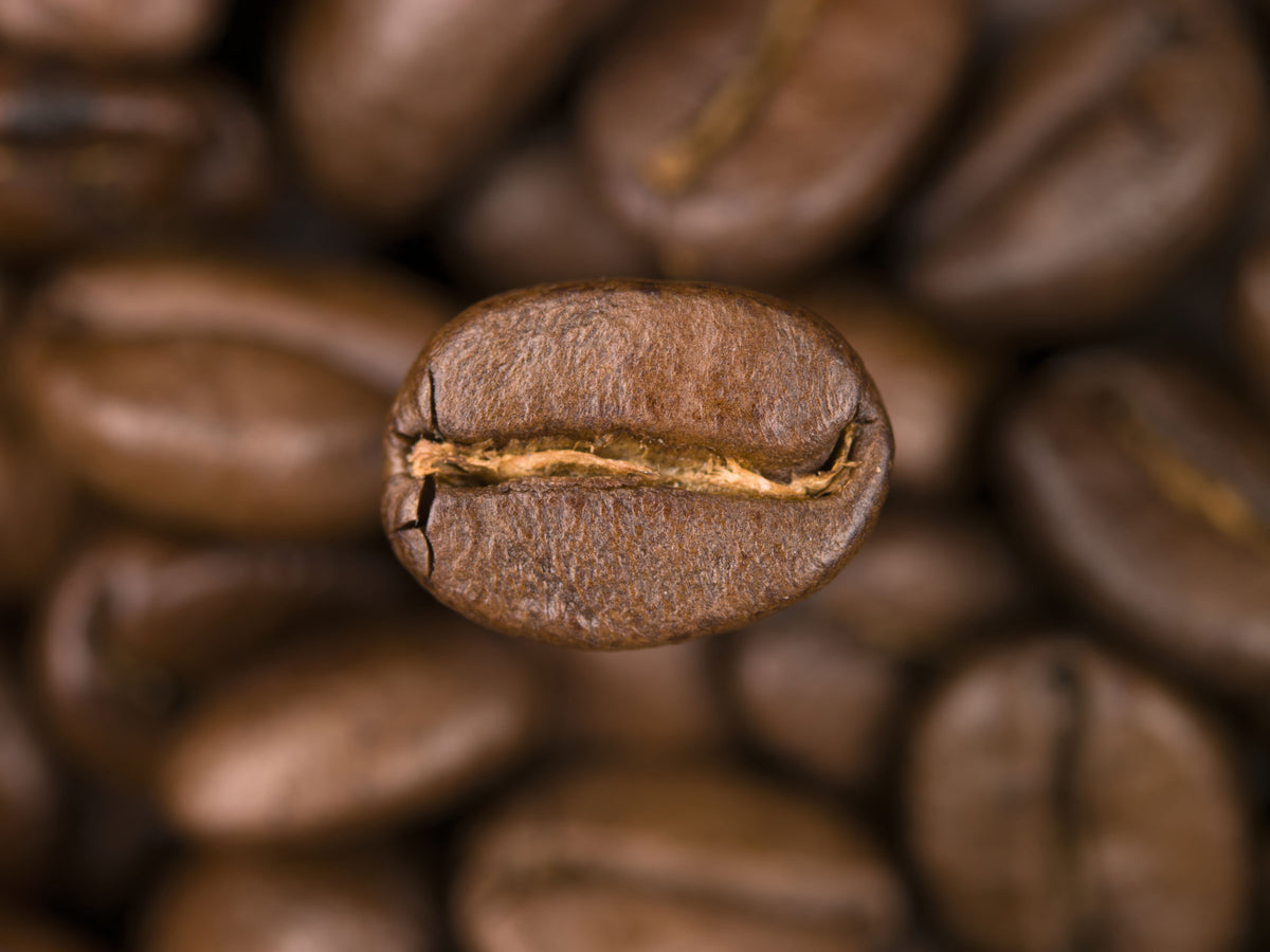 Coffee Infusion Wall Mural