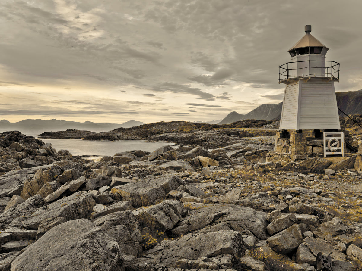Guardian of the Coast Wall Mural in your room