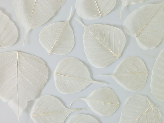 Fragile Elegance Wall Mural