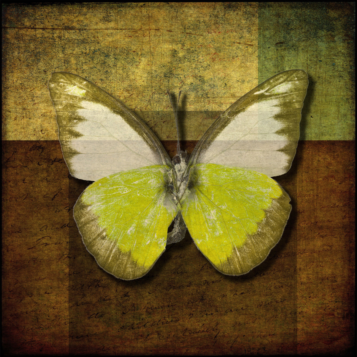 Butterfly Vintage Hues Wall Mural in your room — zoomed