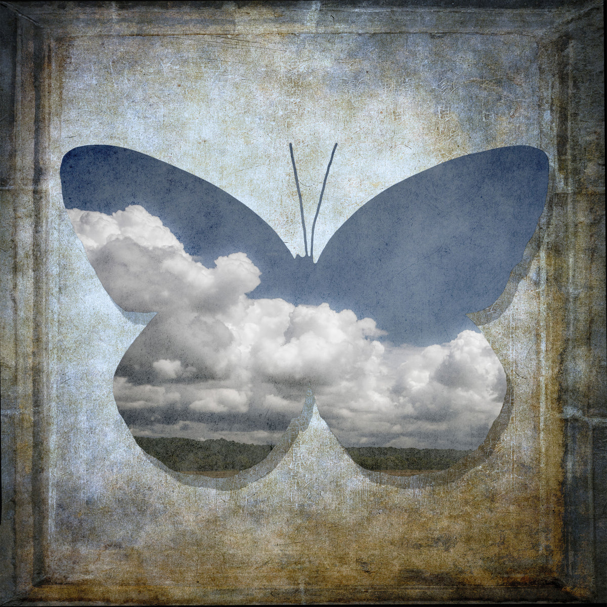 Butterfly Dreamscape Wall Mural in your room