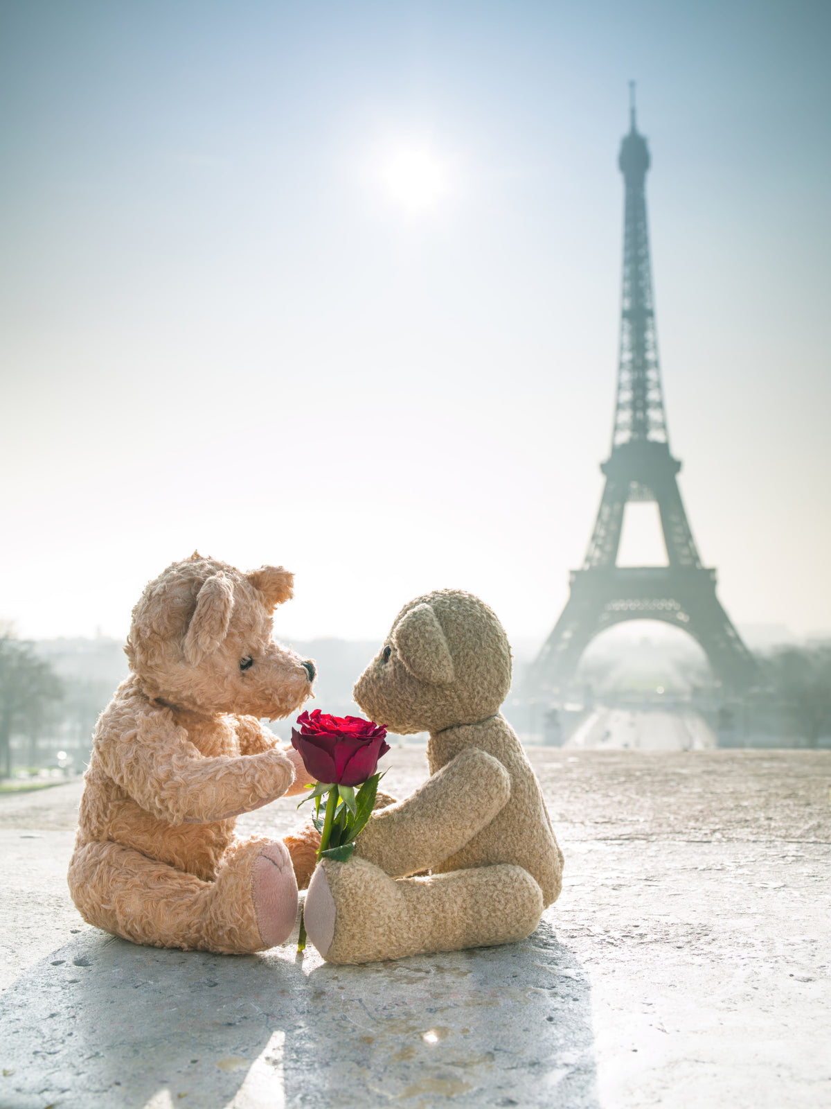 Bears in Love Wall Mural in your room — zoomed