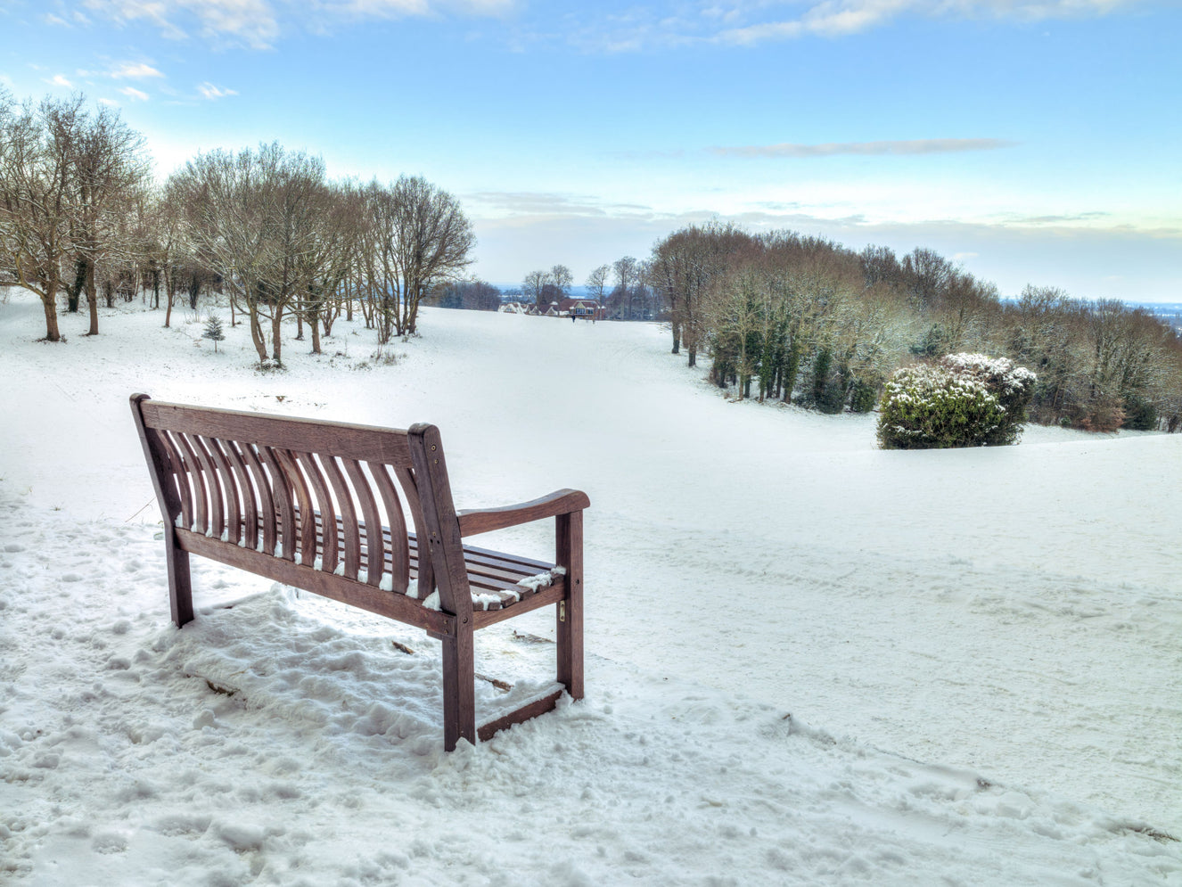 Bench in a Snowy Landscape Wall Mural