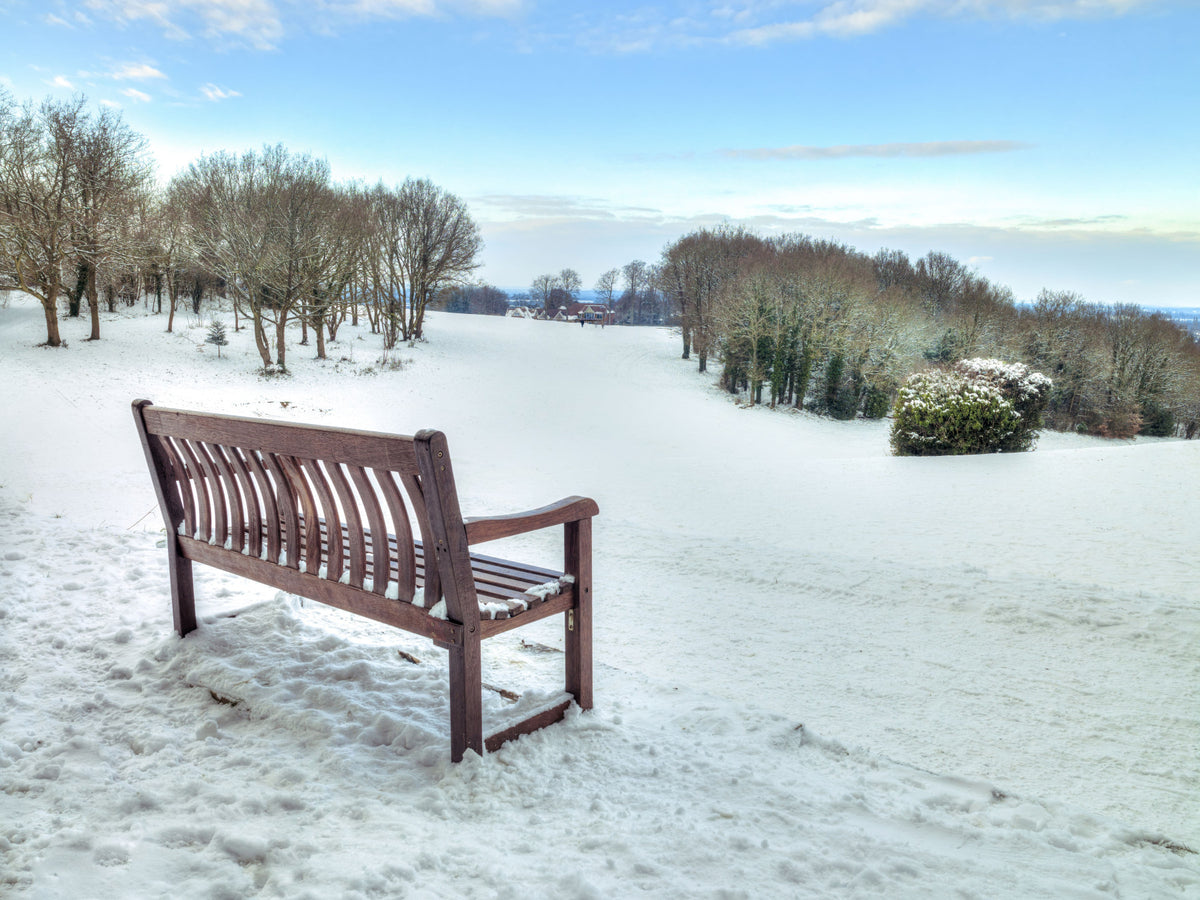 Bench in a Snowy Landscape Wall Mural in your room