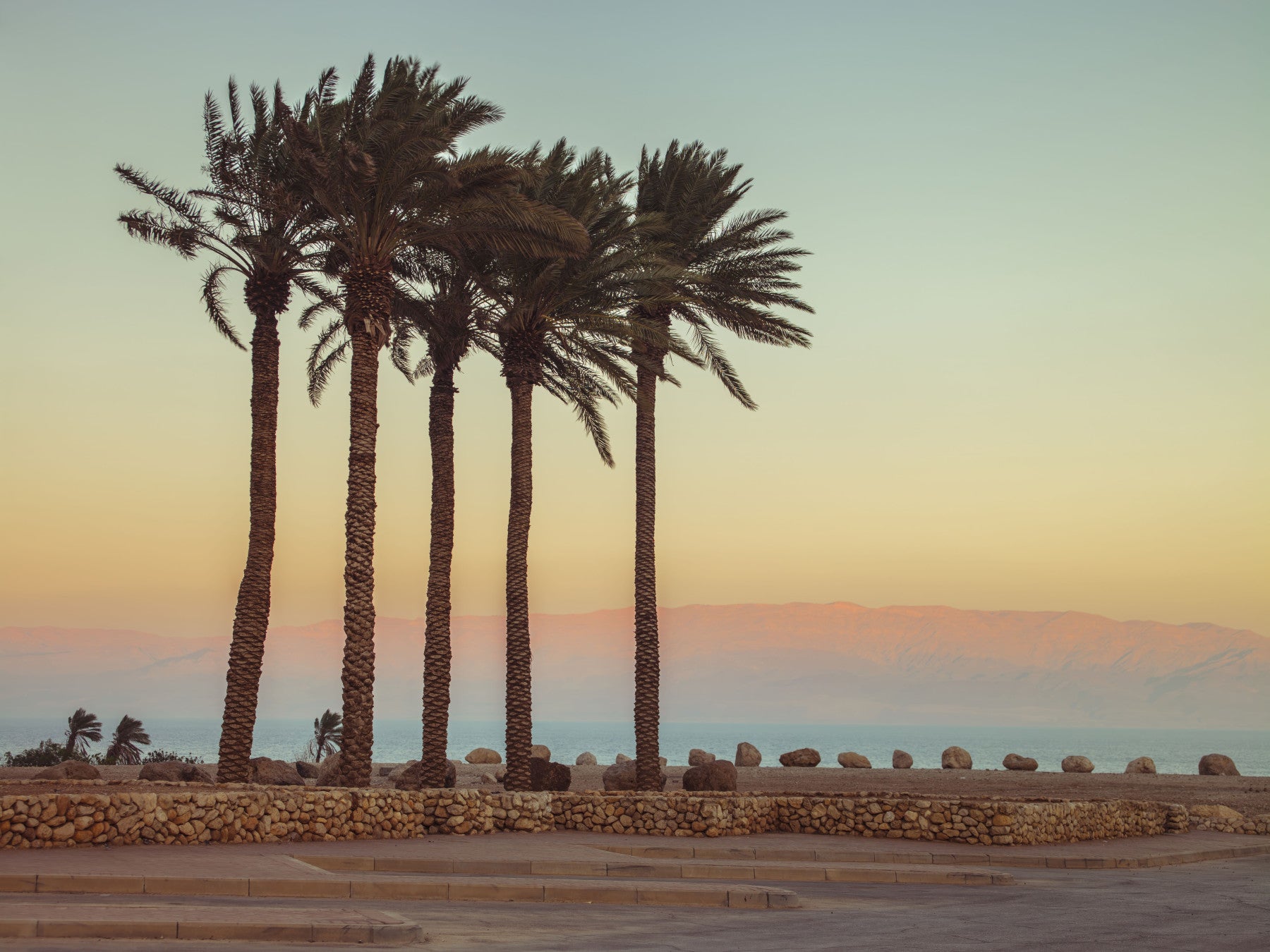 Tropical Palm Trees on Beach view, panoramic landscape wall paper.