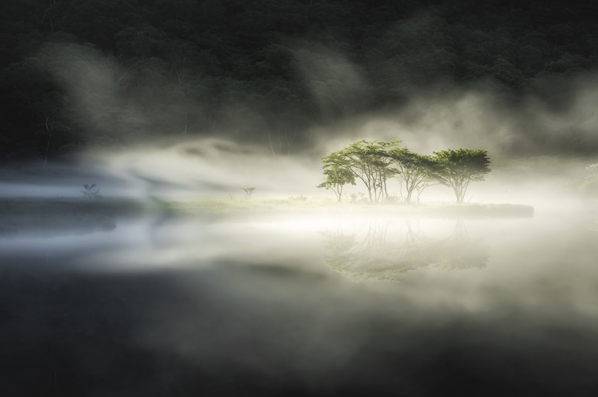 Misty Lake Woodland Wall Mural - 2221958 in your room