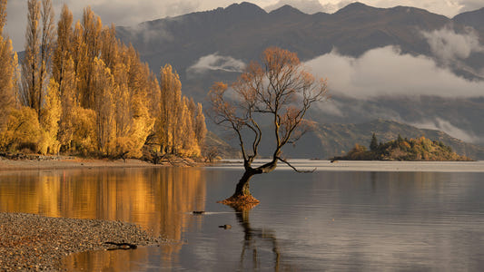 Autumn's Reflection Woodland Wall Mural - 2635223