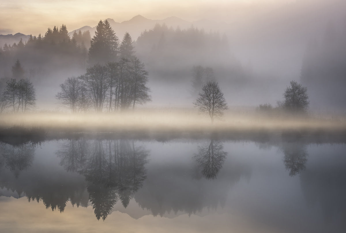 Woodland Dawn Reflection Wall Mural - 2576375 in your room