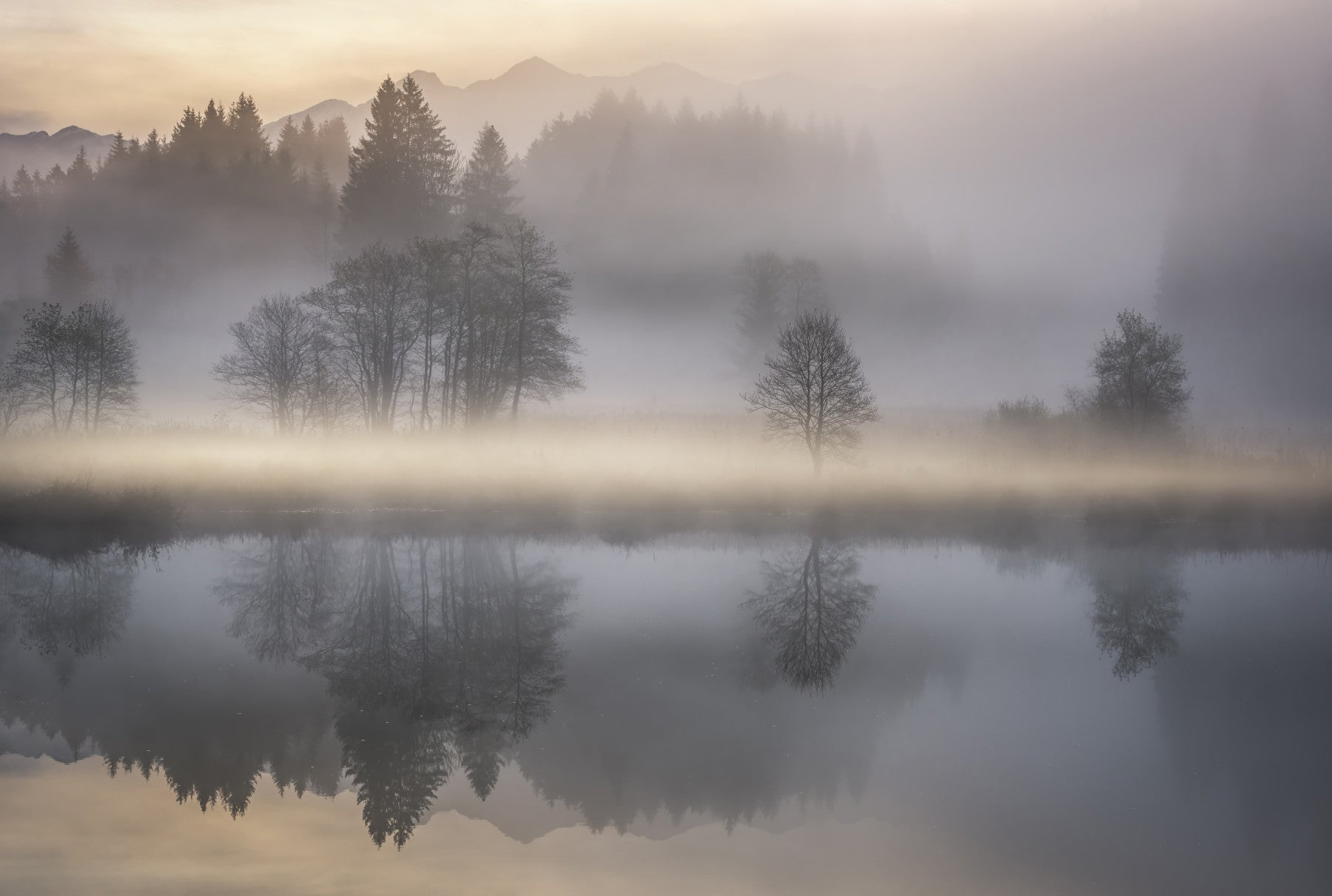 Woodland Dawn Reflection Wall Mural - 2576375 in your room — zoomed