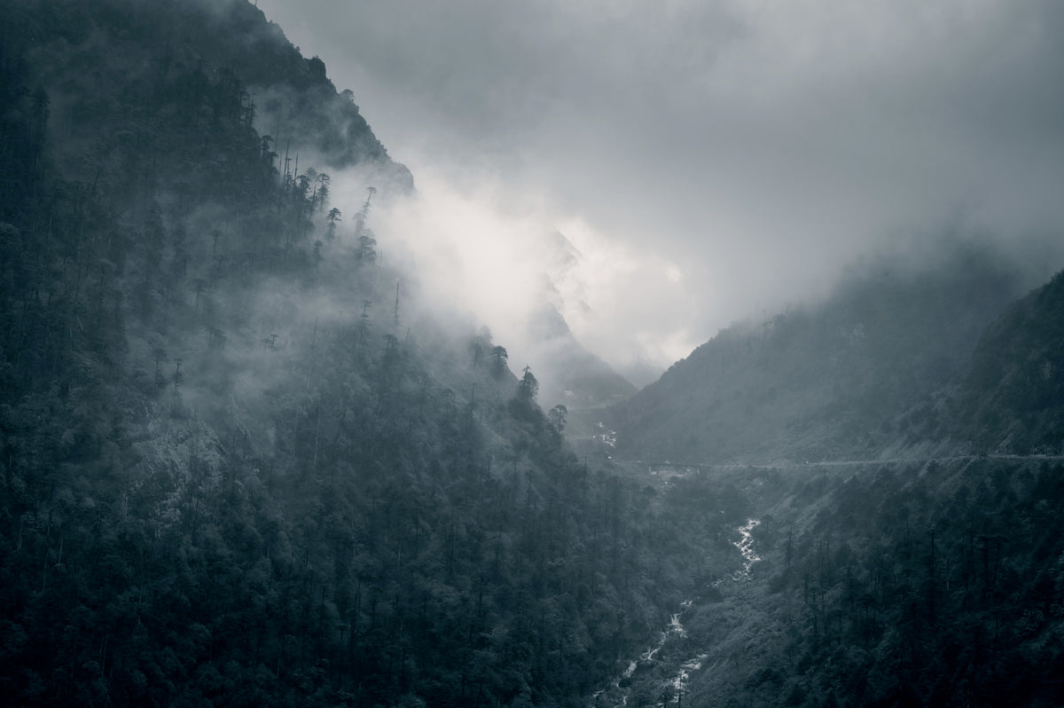 Misty Woodland Cascade Wall Mural - 2525213 in your room — zoomed