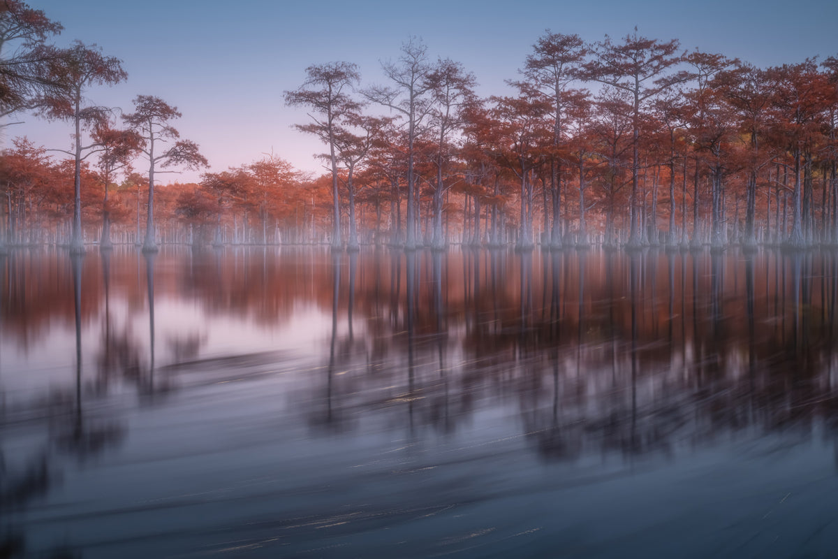 Woodland Twilight Lagoon Wall Mural - 2363153