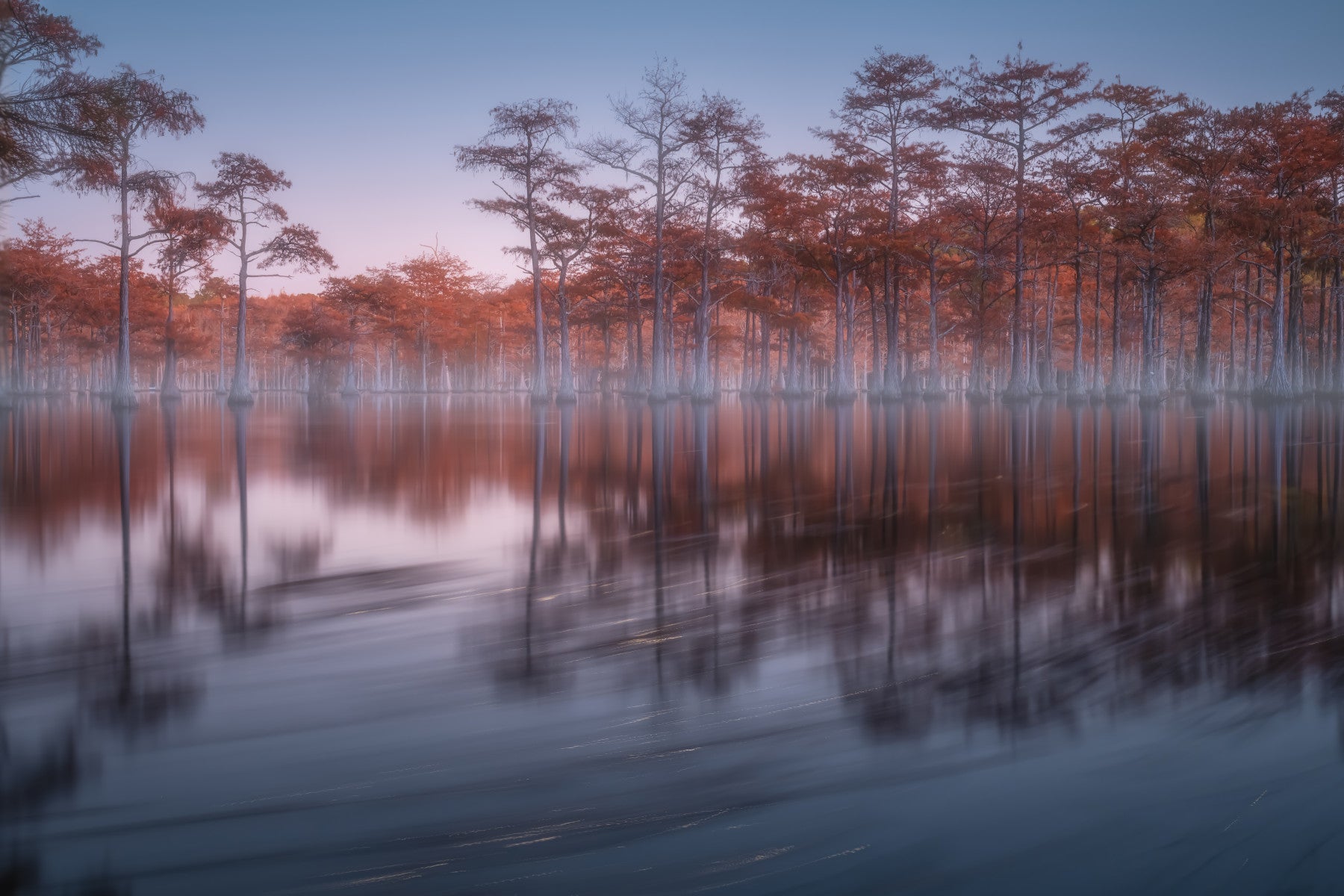 Woodland Twilight Lagoon Wall Mural - 2363153 in your room — zoomed
