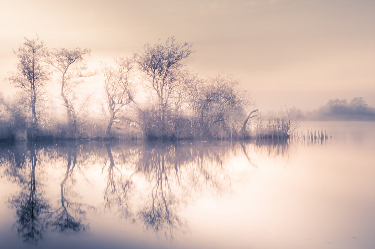 Serene Reflections Wall Mural - 2463583 in your room