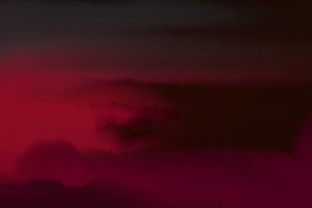 Crimson Dreams Wall Mural in your room — zoomed