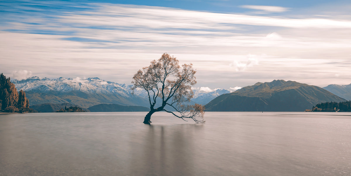 Lake Wanaka Tree Serenity Wall Mural - 2250028 in your room
