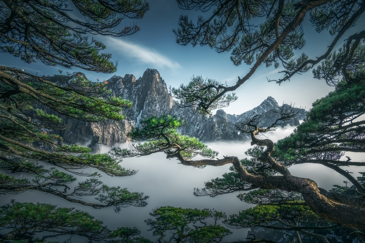 Zenith Peak View Wall Mural - 2301560 in your room — zoomed