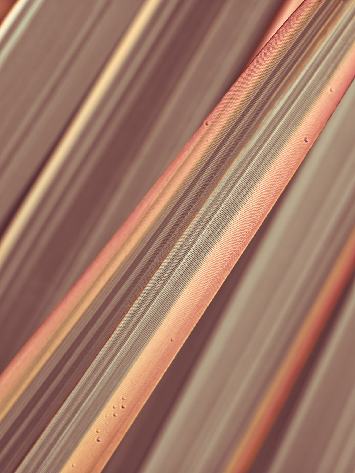 Terra Lines Wall Mural in your room