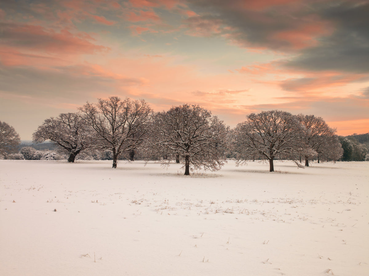 Snow Covered Field Wall Mural in your room