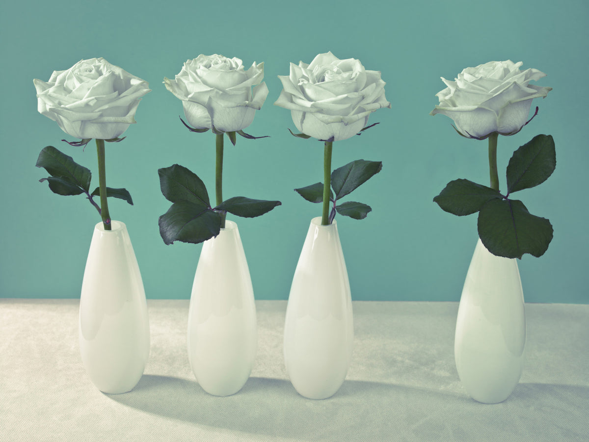 Floral Quartet Wall Mural in your room — zoomed