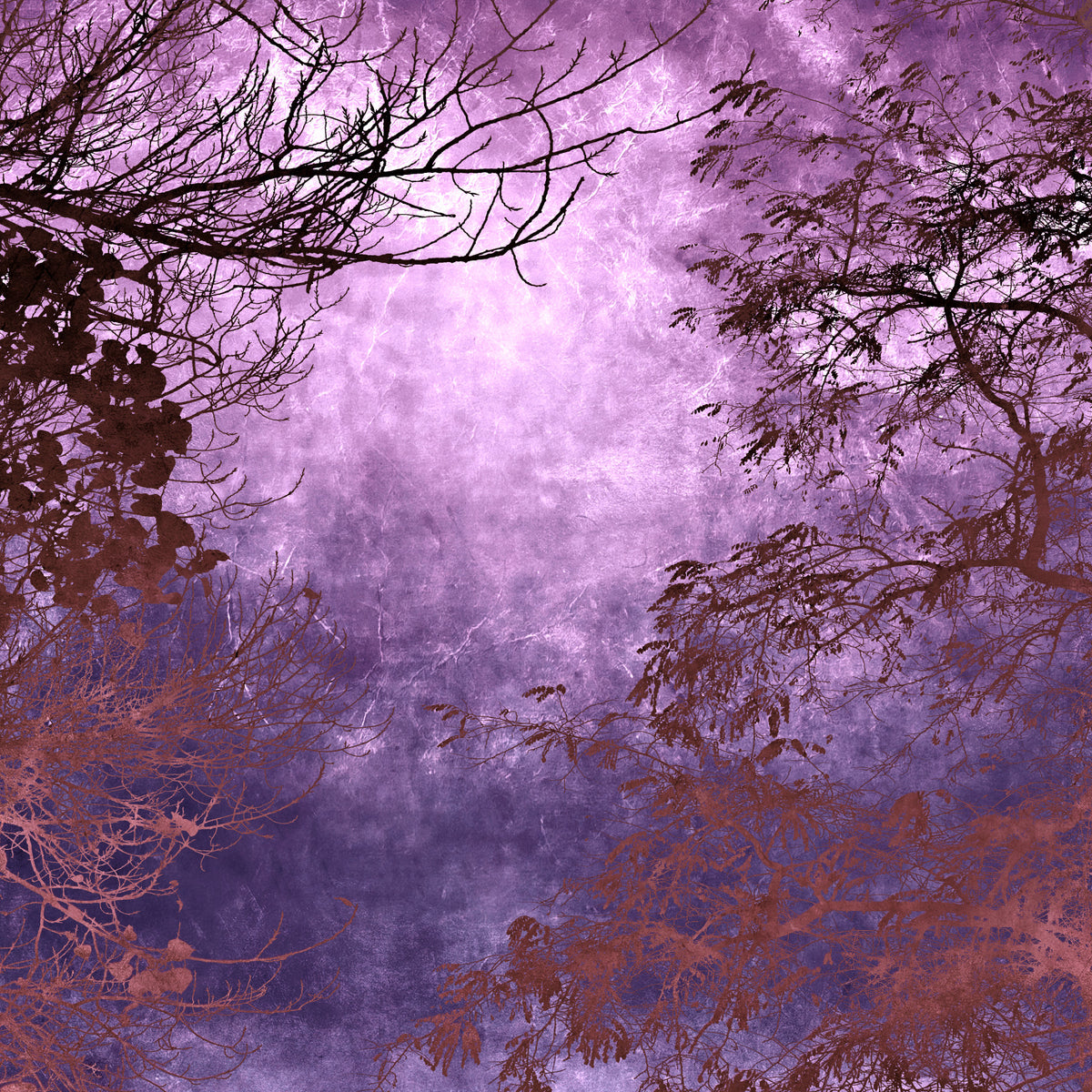 Purple Woods Wall Mural in your room