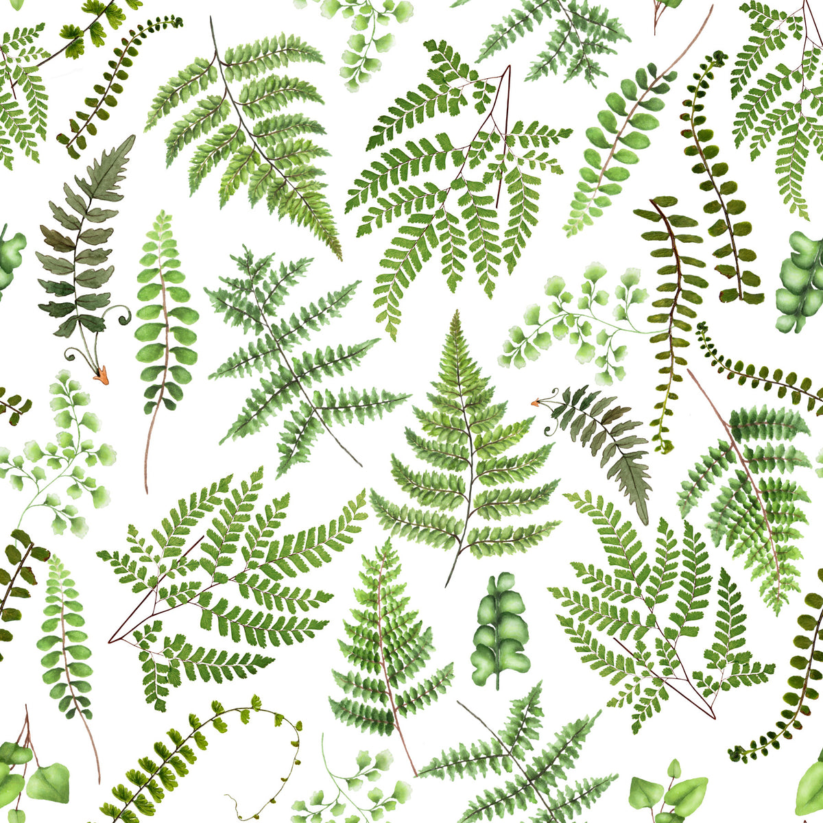 Watercolor Fern Canopy Wallpaper⁠ in your room — zoomed