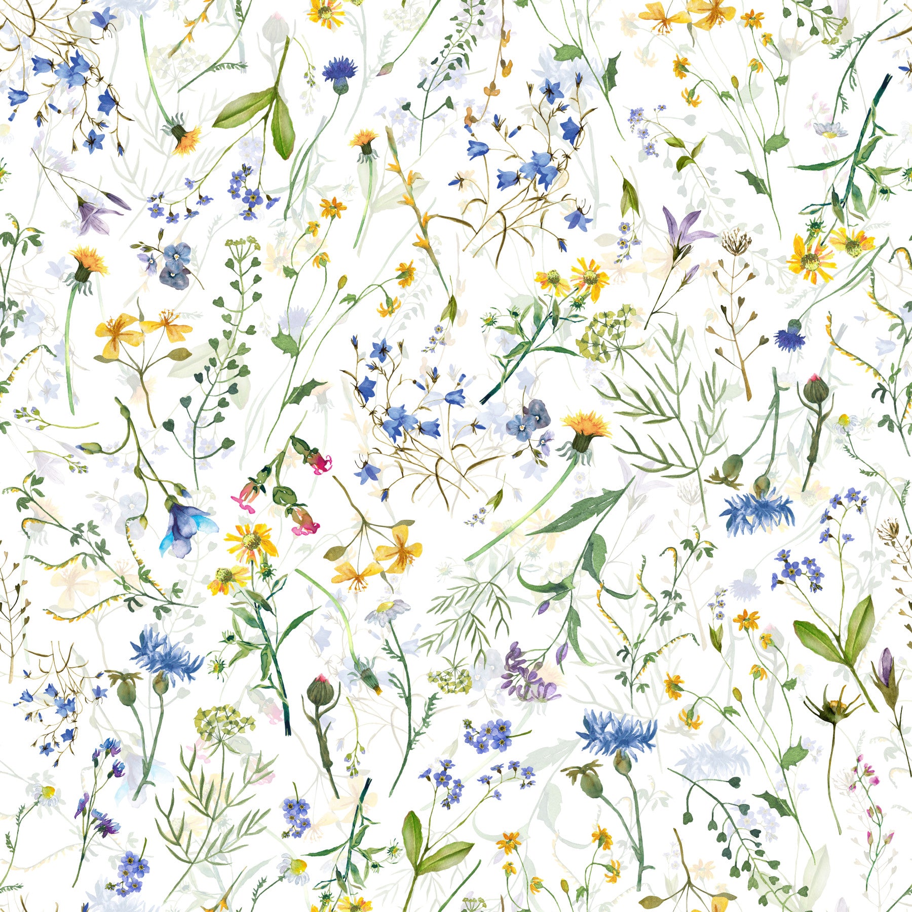 Colorful Watercolor Meadow Wallpaper⁠