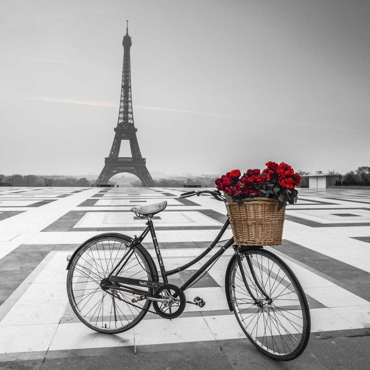 Parisian Love Story Wall Mural in your room