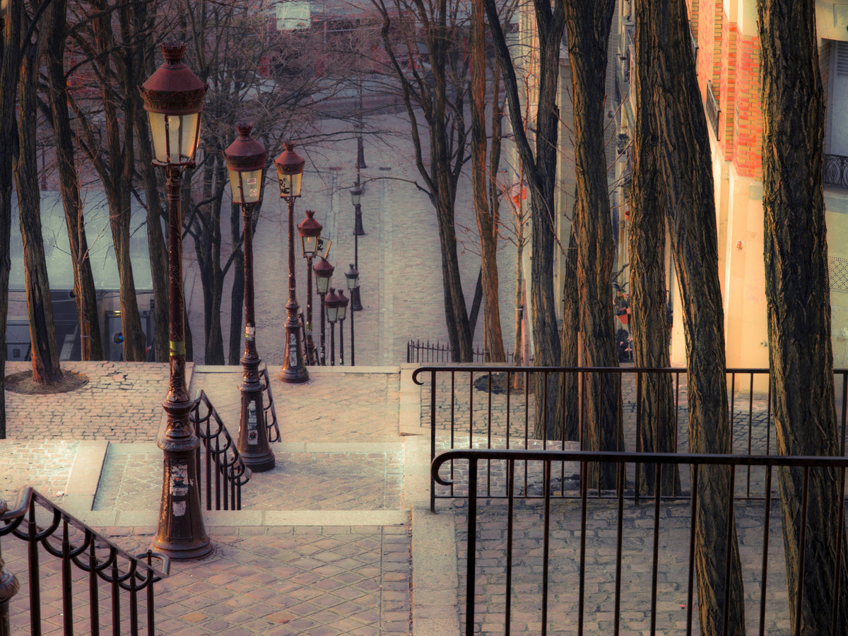 Montmartre's Iconic Staircase Wall Mural in your room — zoomed