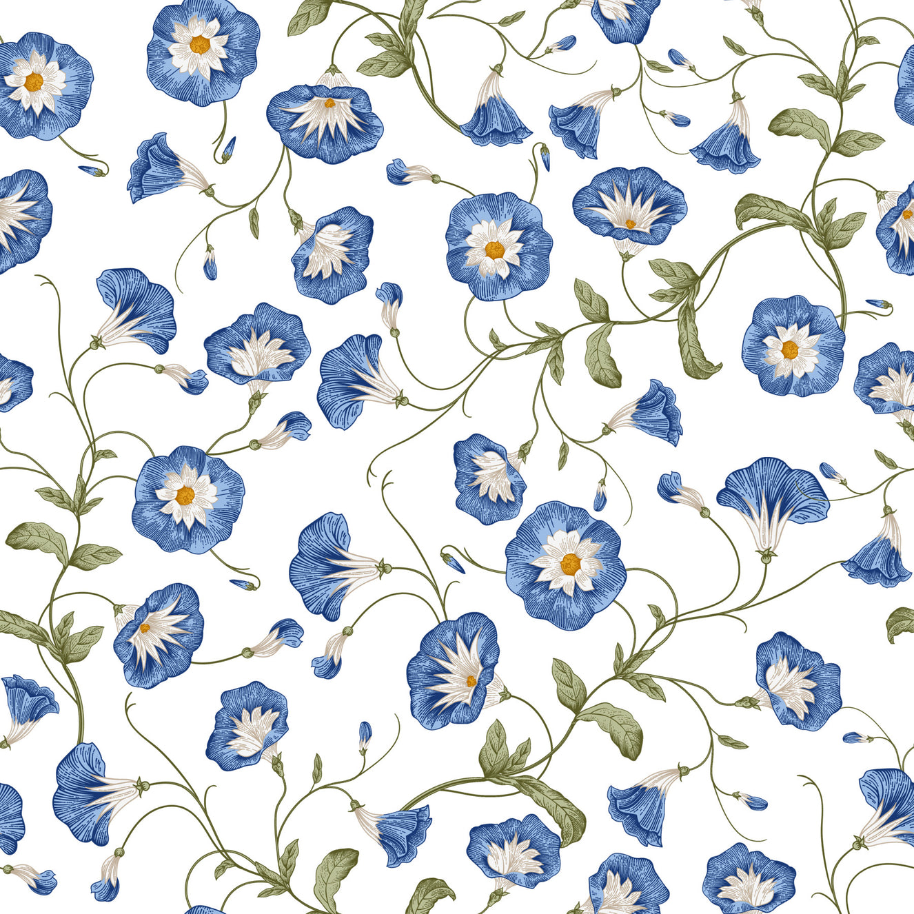 Morning Glory Wallpaper⁠