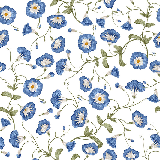 Morning Glory Wallpaper⁠