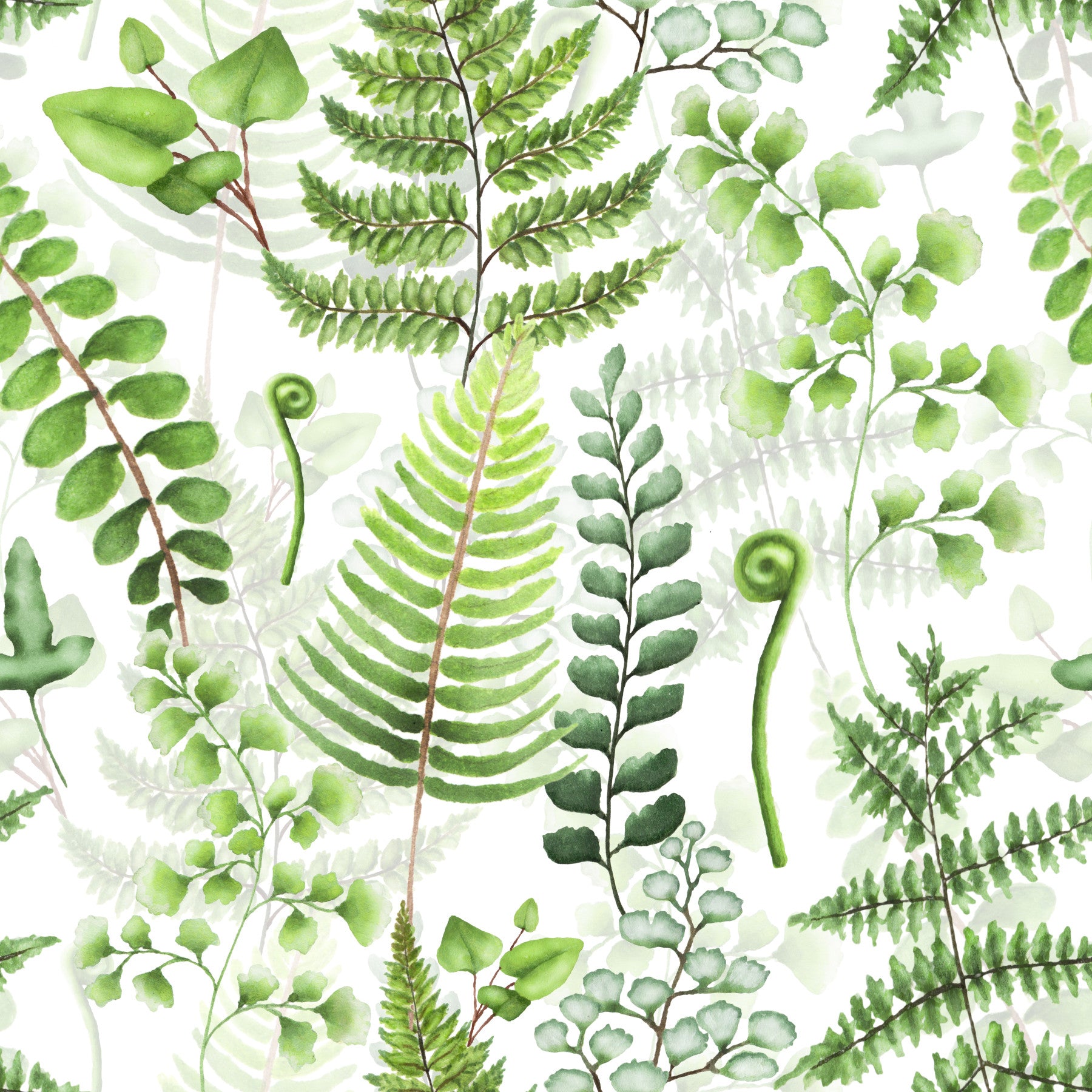 Natural Fern Fantasy green wall mural style