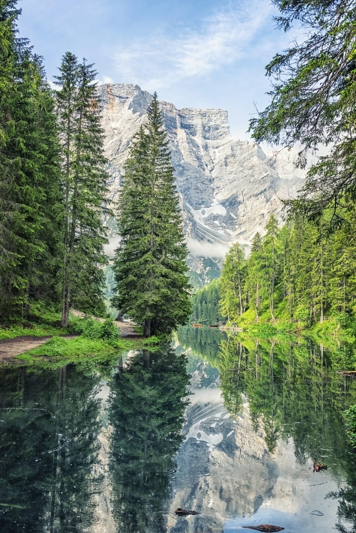 Alpine Lake Reflection Wall Mural in your room
