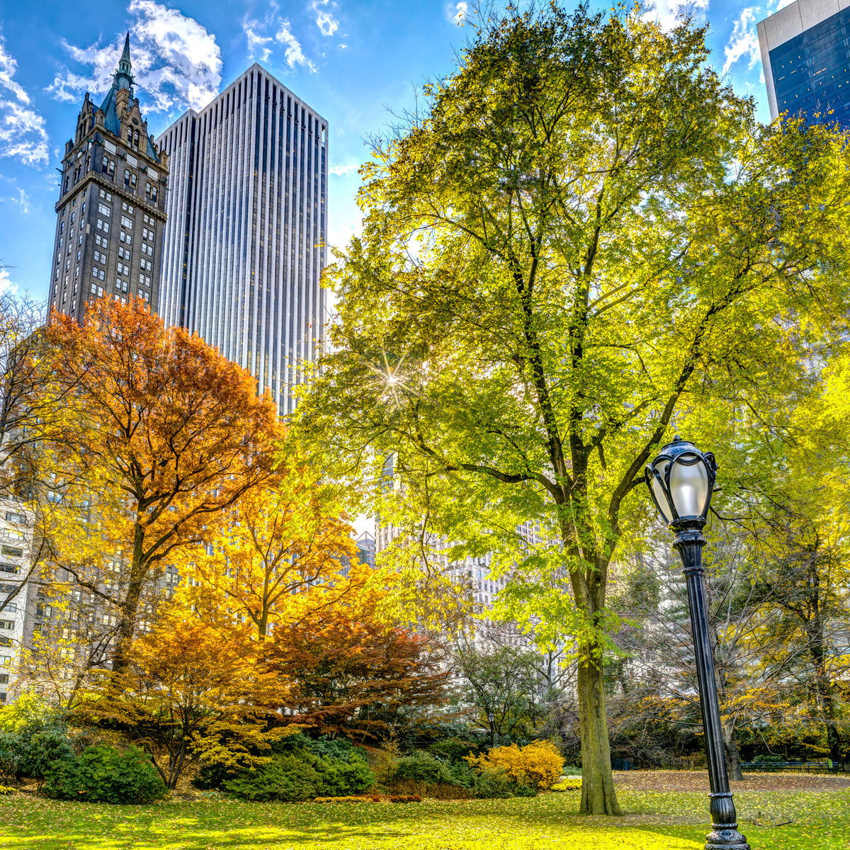 Central Park in Fall Colors Wall Mural in your room