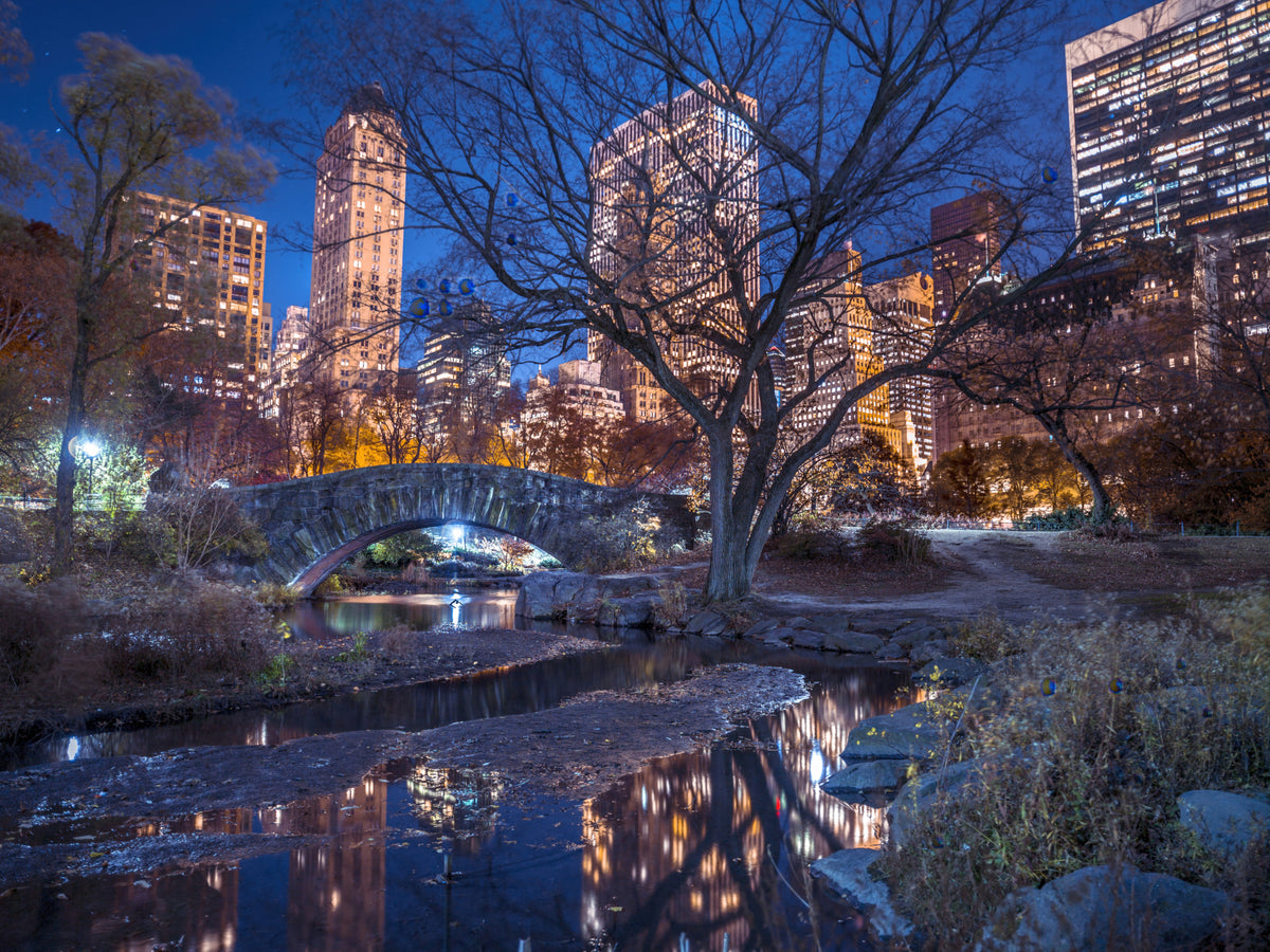 Central Park at Night Wall Mural in your room — zoomed