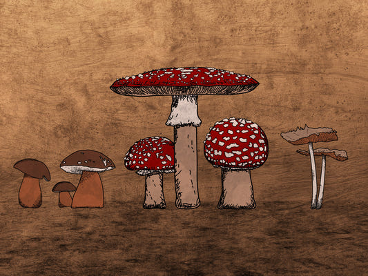 Ancient Mushrooms Wall Mural