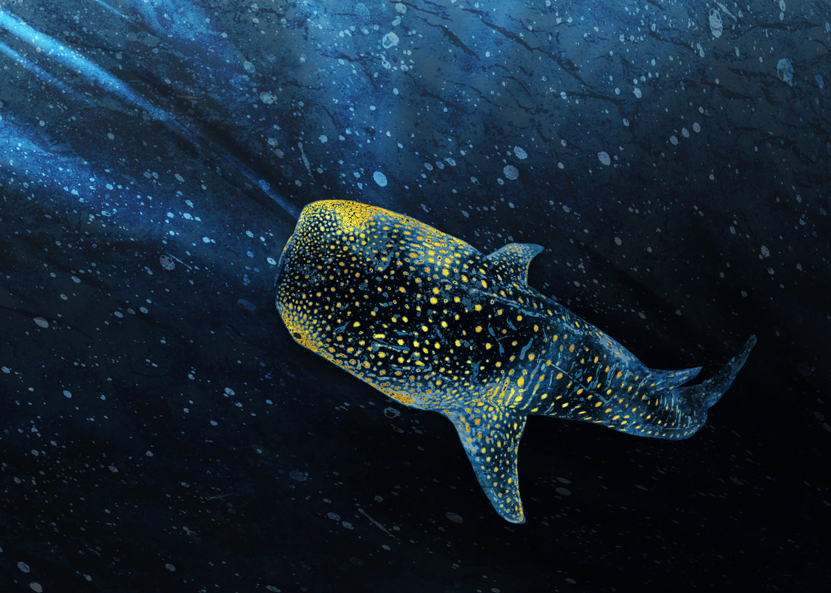 Golden Whale Shark Wall Mural in your room