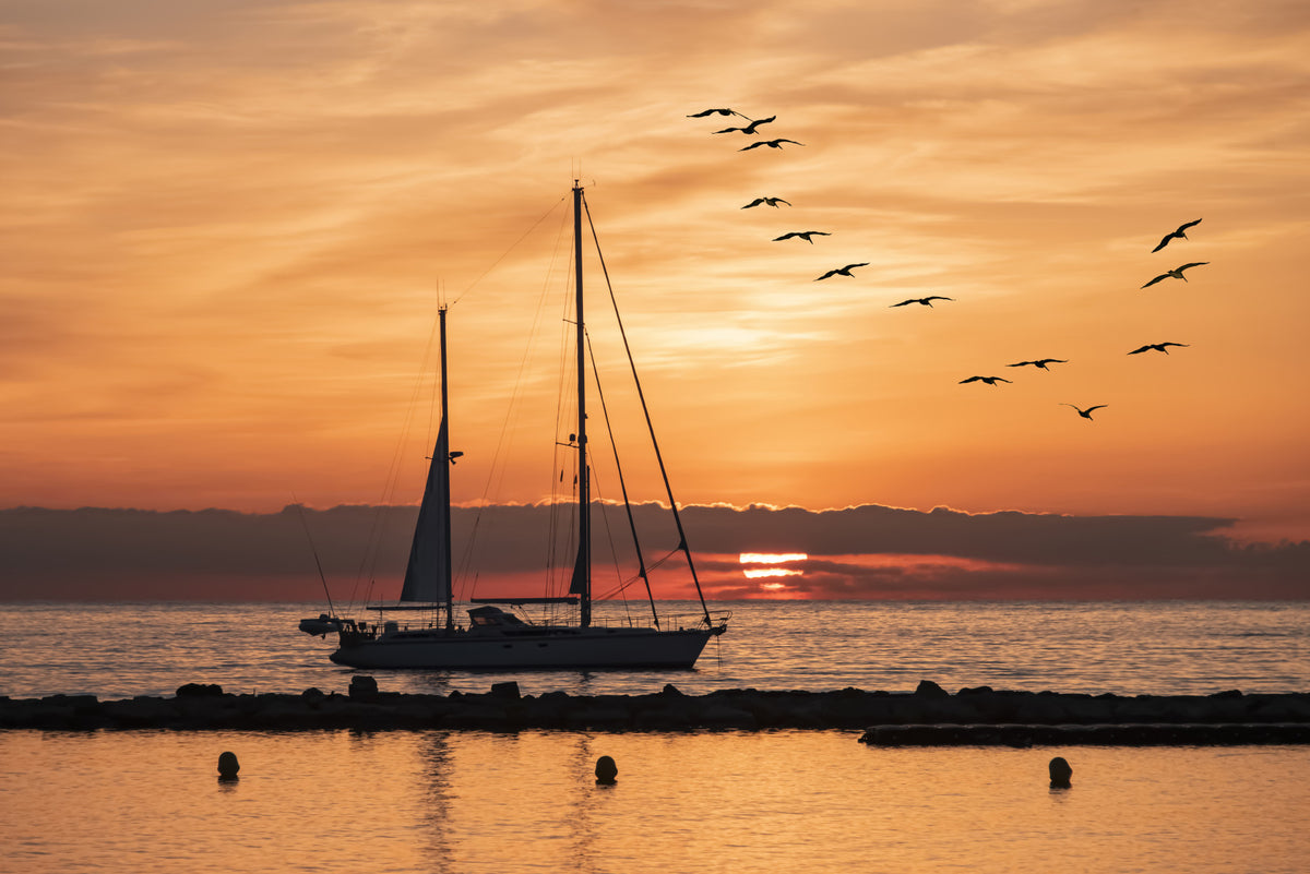Golden Horizon Wall Mural in your room