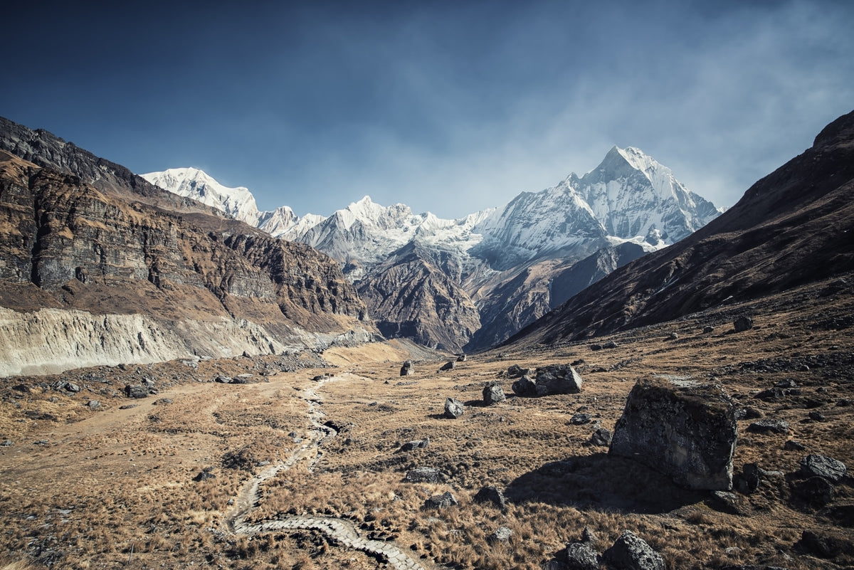 Peaks of Tranquility Wall Mural