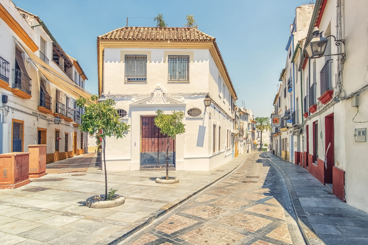 Spanish Street Charm Wall Mural in your room — zoomed