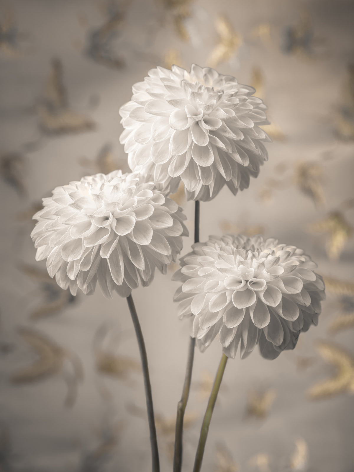 Beige Blooms Wall Mural in your room