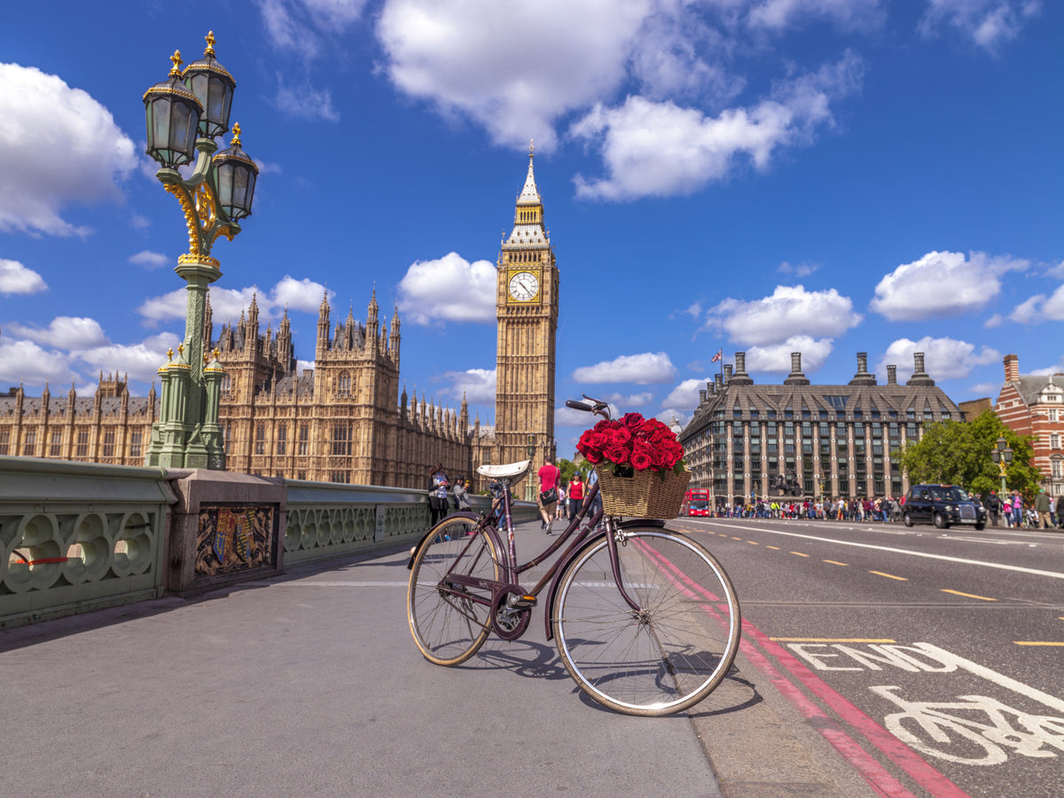 Red Blooms in London Wall Mural in your room