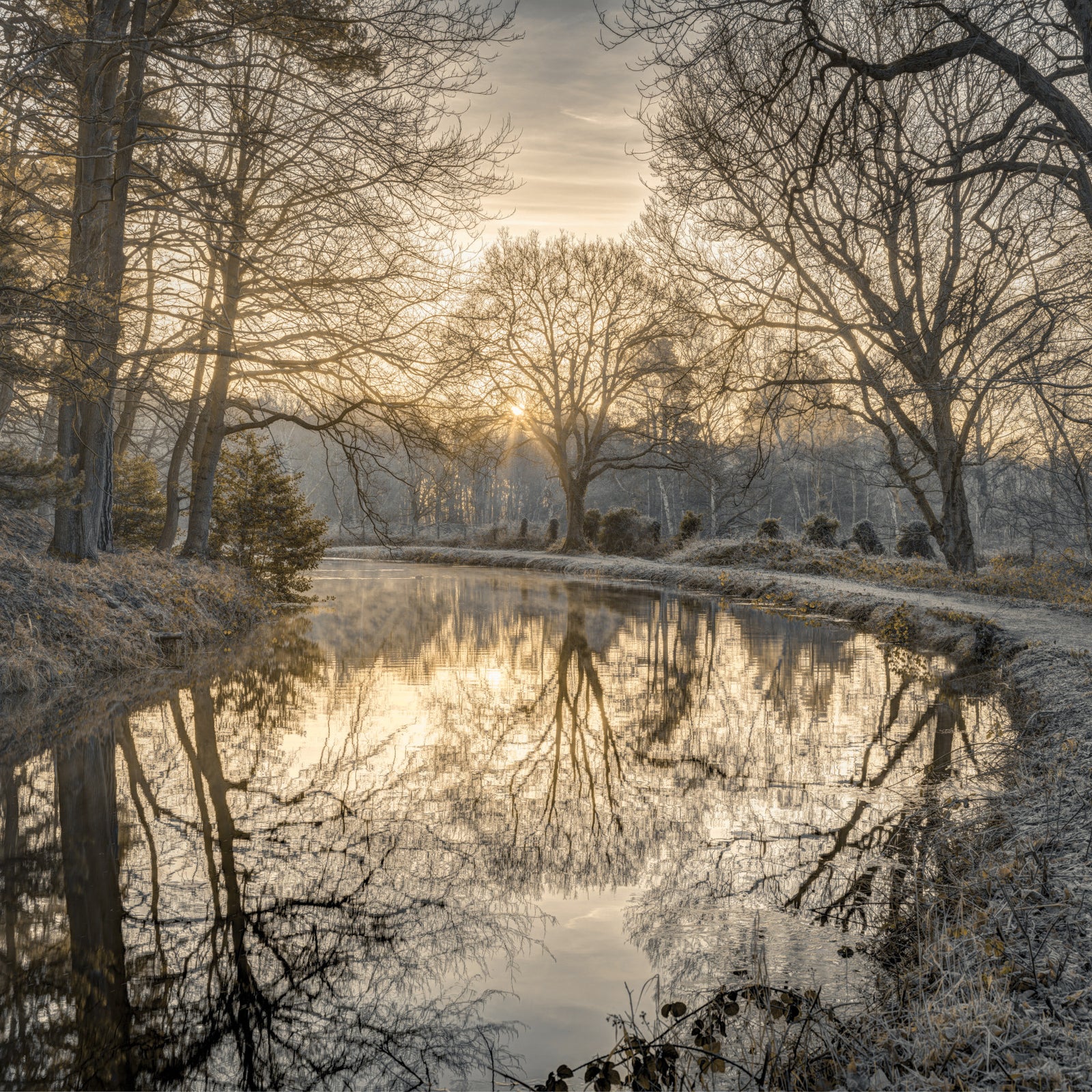 Canal Sunrise Wall Mural