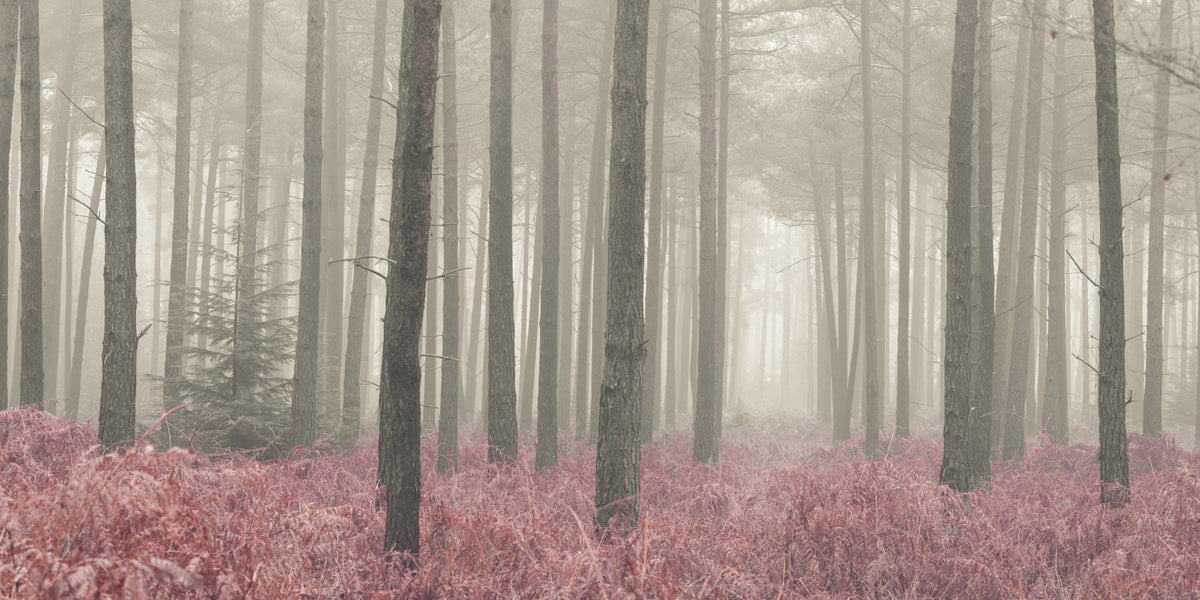 Crimson Whisper Woods Wall Mural in your room — zoomed