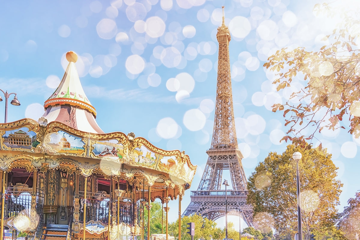 Parisian Carousel Dream Wall Mural in your room