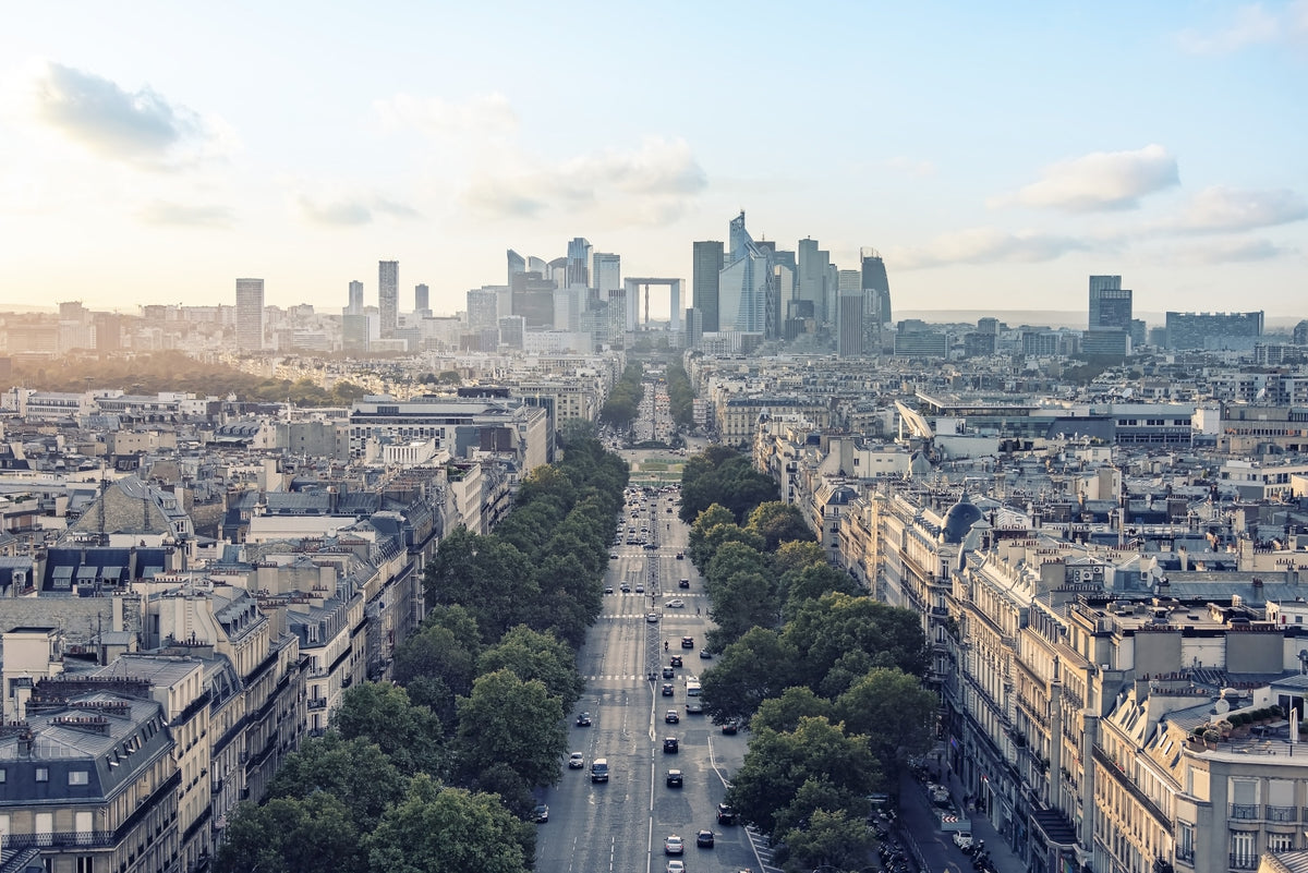 Parisian Panorama Wall Mural in your room