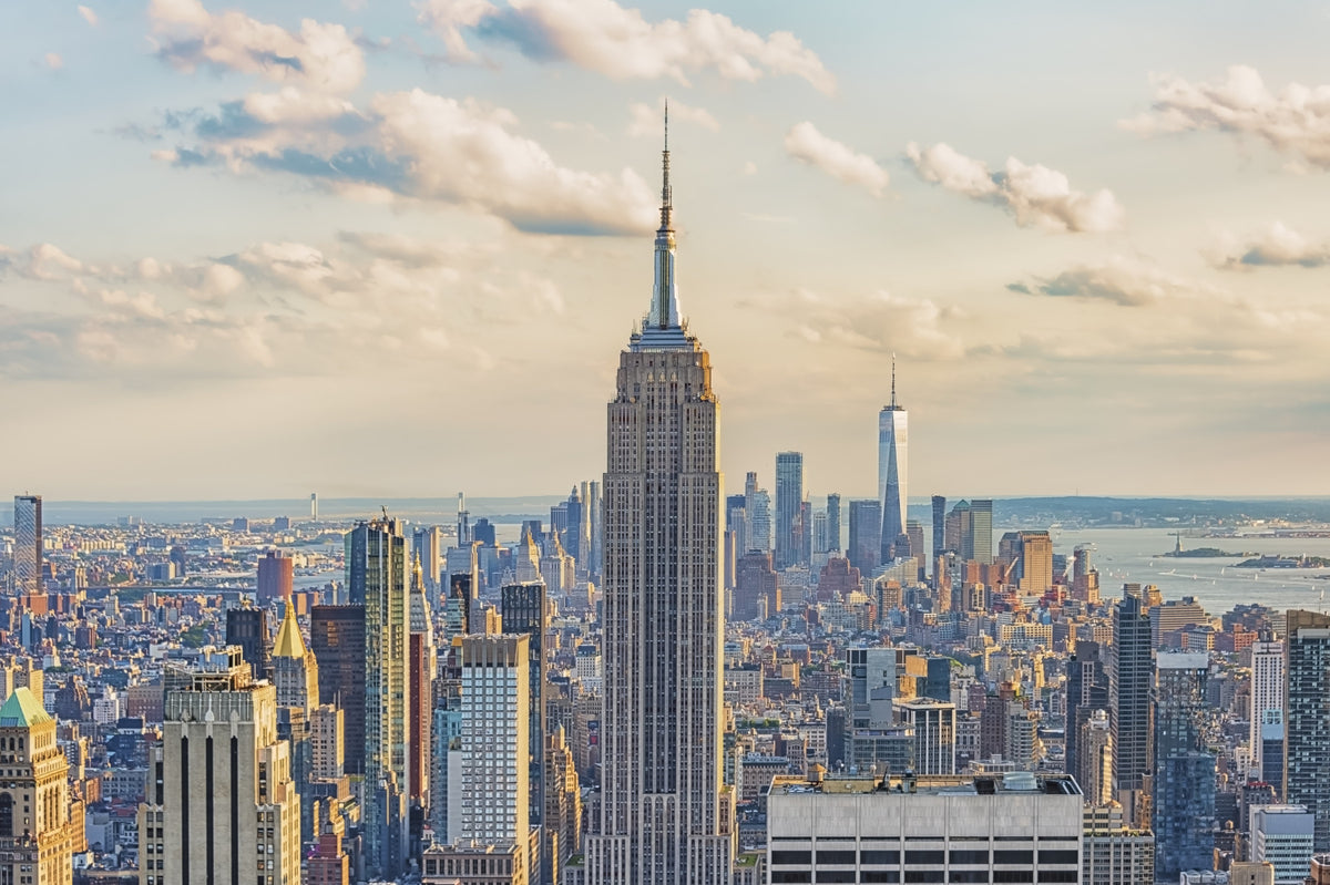 Empire State Majesty Wall Mural in your room — zoomed