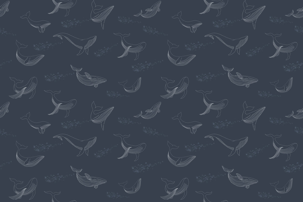 Whale Song Serenade Wall Mural in your room