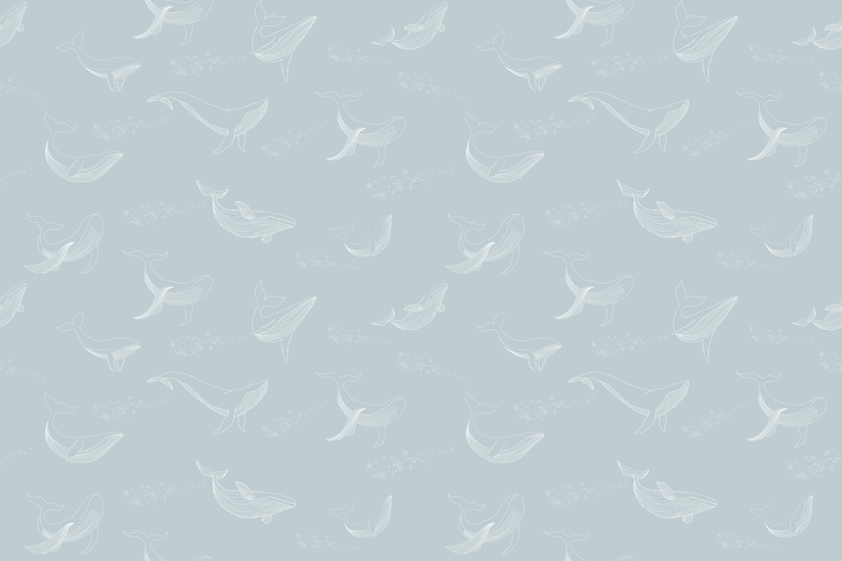 Aqua Whale Dreams Wall Mural in your room